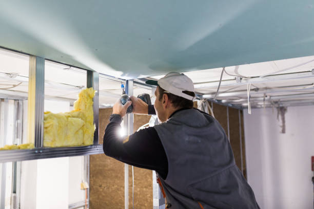 Best Insulation for New Construction  in Staunton, VA