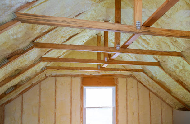 Best Cellulose Insulation  in Staunton, VA