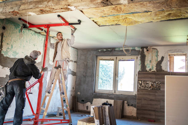 Best Cellulose Insulation  in Staunton, VA