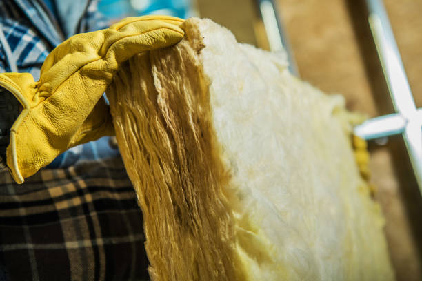 Best Attic Insulation Installation  in Staunton, VA