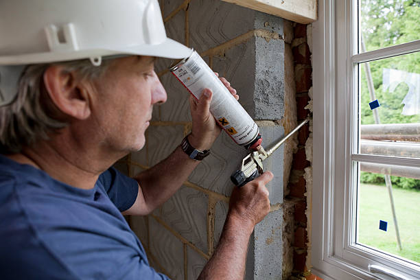 Best Insulation Removal  in Staunton, VA