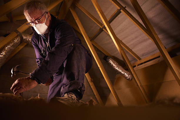 Professional Insulation Contractor in Staunton, VA